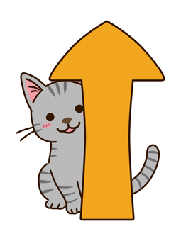 Up arrow and Sabatra cat Up arrow and Sabatra cat
