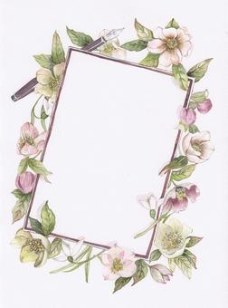 Christmas rose flower frame letter paper Christmas rose flower frame letter paper