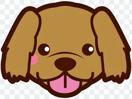 Golden retriever Golden retriever
