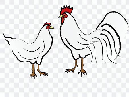 Japanese style chicken chicken rooted year Japanese style chicken chicken rooted year