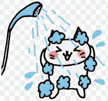 Shower cat Shower cat