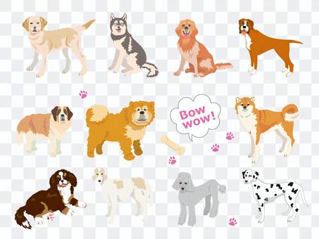 Medium to large dog set Medium to large dog set