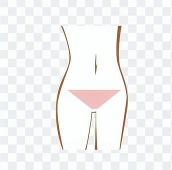 Female V line (line drawing · point) Female V line (line drawing · point)
