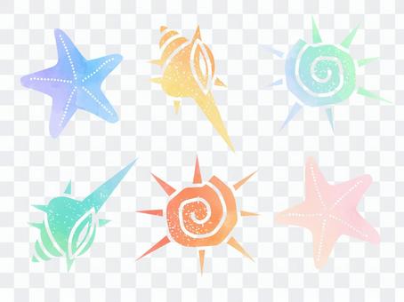 Seashell watercolor material set 02 Seashell watercolor material set 02