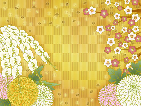 Plum orchid ping pong mum flower Plum orchid ping pong mum flower