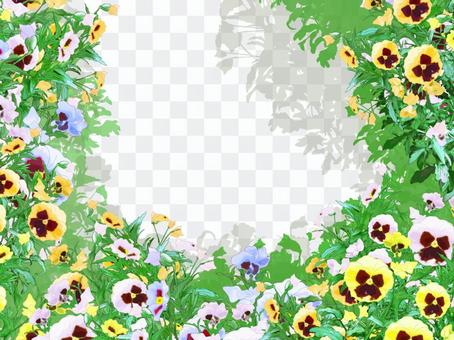 Colorful pansy frame Colorful pansy frame