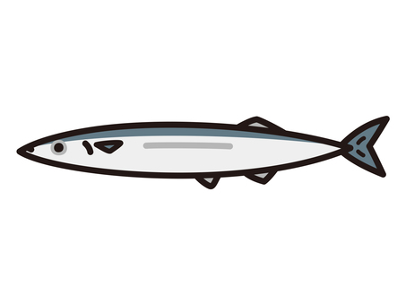 Pacific saury Pacific saury