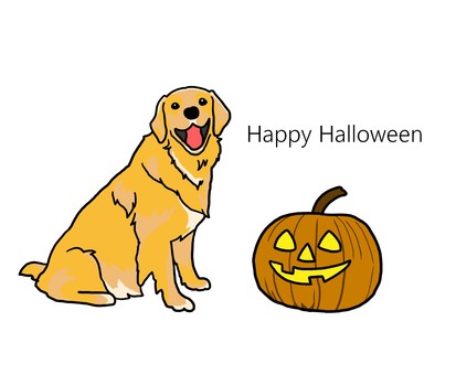 Halloween golden retriever Halloween golden retriever