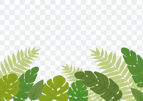 Tropical plant frame Tropical plant frame