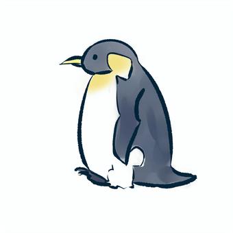Emperor Penguin Emperor Penguin