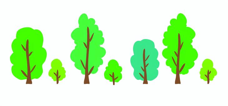 Material trees (street tree · park) summer Material trees (street tree · park) summer