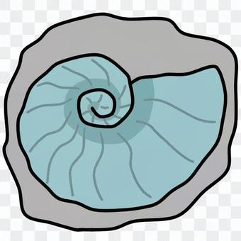 Ammonite fossil (color: blue) Ammonite fossil (color: blue)