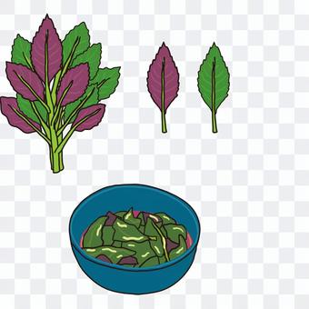 Kintoki grass leaf soaked Kintoki grass leaf soaked