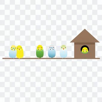 Sekisei parakeet (line) Sekisei parakeet (line)