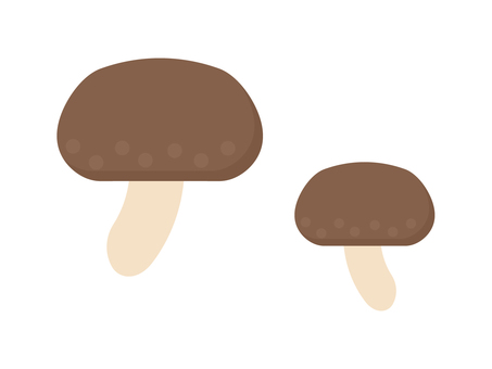 Simple and cute shiitake mushroom illustration Simple and cute shiitake mushroom illustration