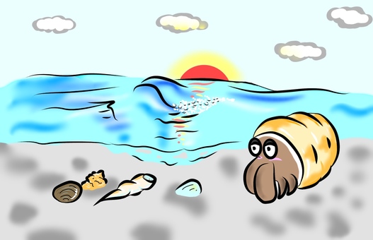 Sea and sea anemone Sea and sea anemone