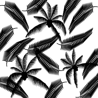 Tropical plants leaves leaves trees palms Tropical plants leaves leaves trees palms