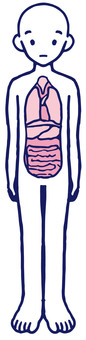 Human body model Human body Human body model Human body