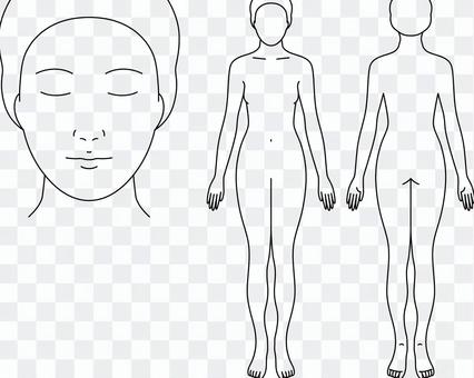 Female body drawing for medical records Female body drawing for medical records