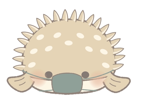 There is an illustration line of porcupinefish with a mask There is an illustration line of porcupinefish with a mask