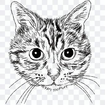 キジトラ猫の顔/白黒手描きイラスト キジトラ猫の顔/白黒手描きイラスト