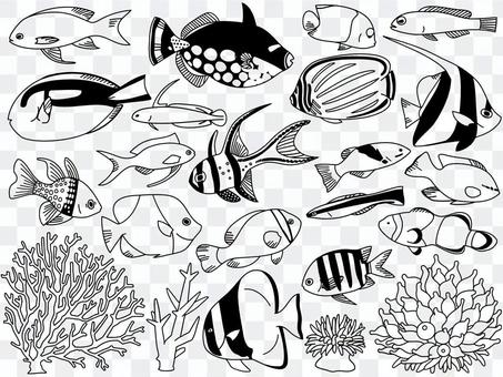 イラスト006 魚とサンゴ イラスト006 魚とサンゴ
