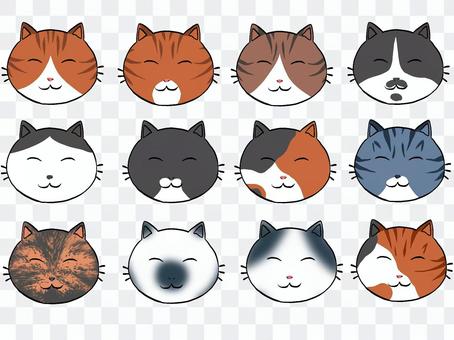 Assorted 12 patterns of cats Assorted 12 patterns of cats
