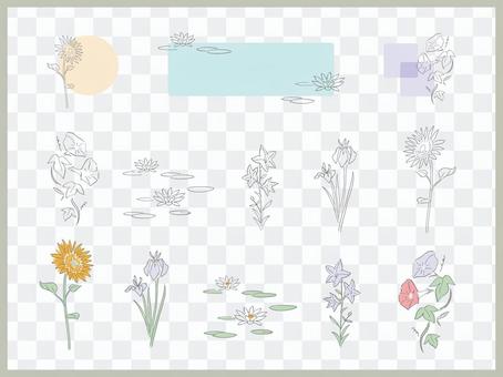 Summer simple flower Summer simple flower