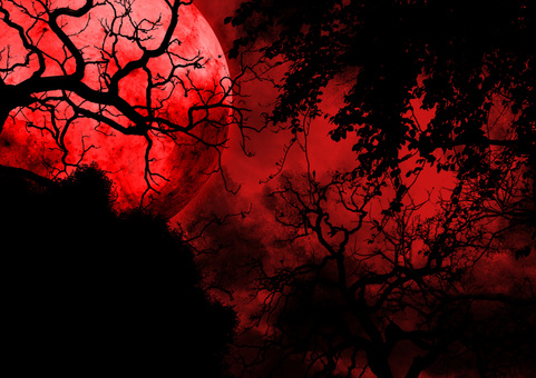 Full moon seen from the eerie red forest Full moon seen from the eerie red forest