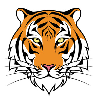 Tiger tiger face white background Tiger tiger face white background