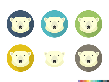 Polar bear Polar bear