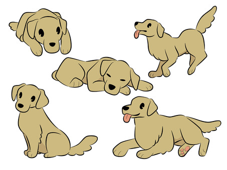 Golden retriever pose set Golden retriever pose set