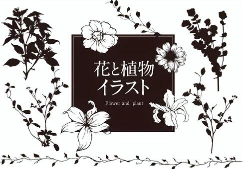 Flowers and plants illustration Flowers and plants illustration