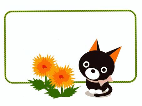 Dandelion and kitten Dandelion and kitten