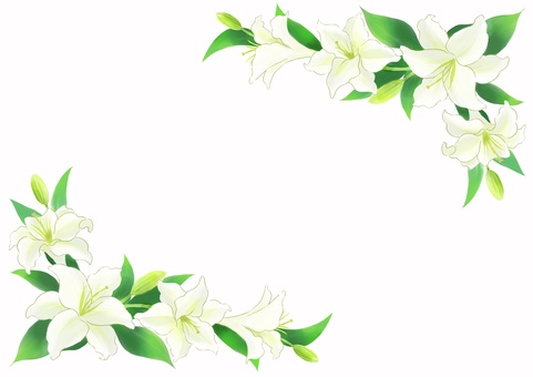 Lily frame Lily frame