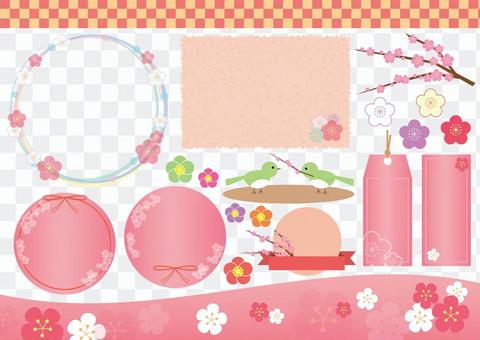 Plum Illustration Plum Illustration
