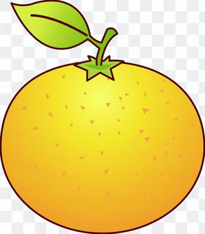 Mandarin orange Mandarin orange