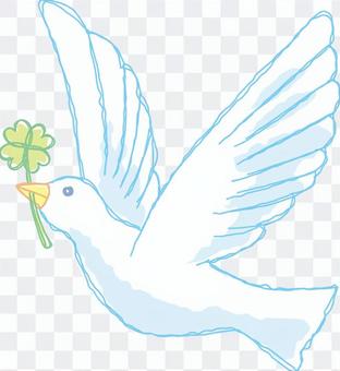 Four leaf clover and pigeons Four leaf clover and pigeons