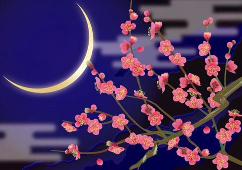 Red plum in crescent moon Red plum in crescent moon