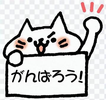 Let's do our best Cat Let's do our best Cat