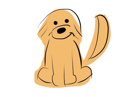 Golden retriever dog Golden retriever dog
