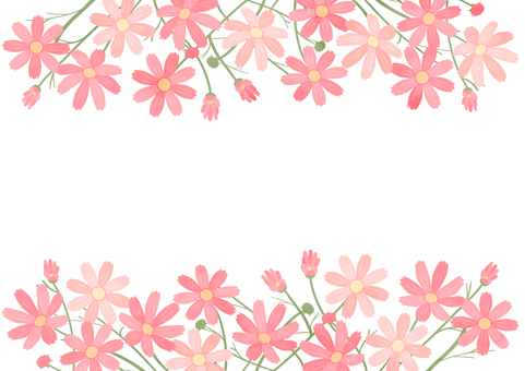 Autumn decorative frame where cosmos blooms Autumn decorative frame where cosmos blooms