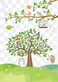 Trees and birds Trees and birds