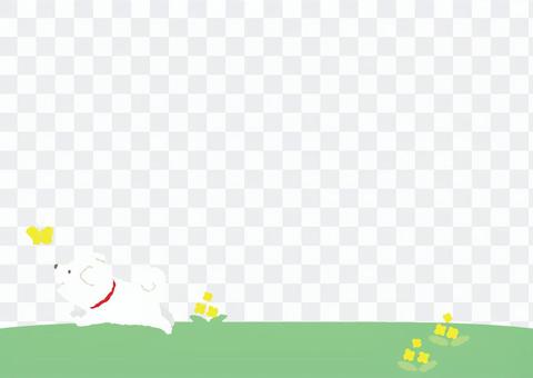 Puppy - You will want to hang out spring Puppy - You will want to hang out spring