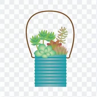 Houseplant - Planting of foliage plants (can) Houseplant - Planting of foliage plants (can)