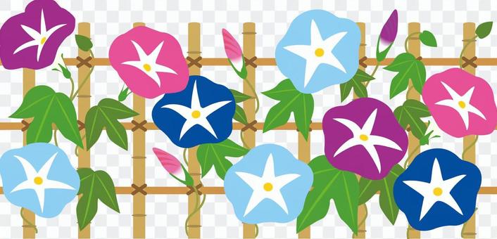 Asagao (fence / medium) Aya Asagao (fence / medium) Aya