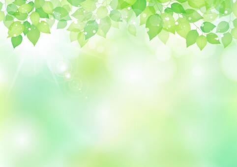 New green material 225 New green material 225