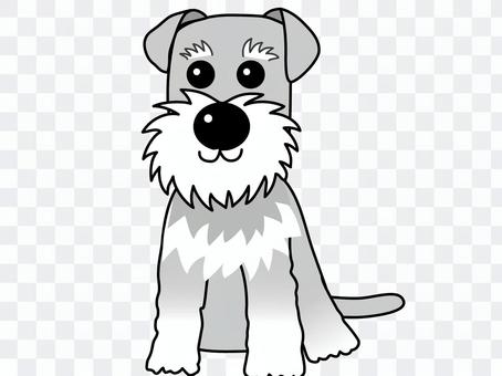 Schnauzer - the world's dog Schnauzer - the world's dog