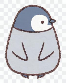 Pussy Penguin Hina Sideways Pussy Penguin Hina Sideways