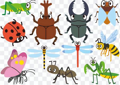 Insect series (1) Insect series (1)